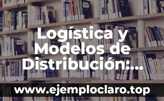 Logística y Modelos de Distribución: Una Guía Completa
