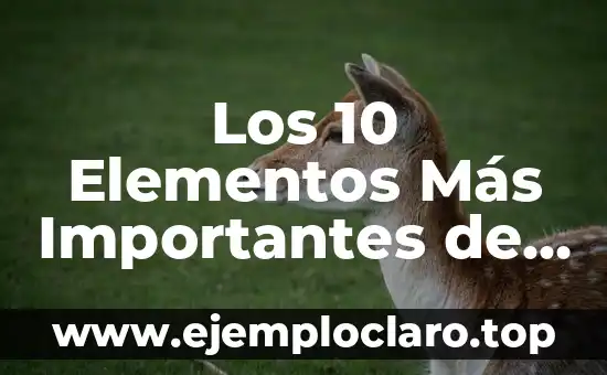 Los 10 Elementos Más Importantes de la Tabla Periódica