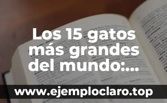 Los 15 gatos más grandes del mundo: Conoce los felinos gigantes