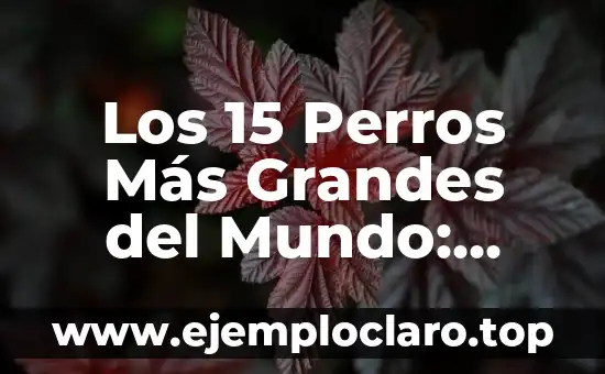 Los 15 Perros Más Grandes del Mundo: Raza, Tamaño y Características