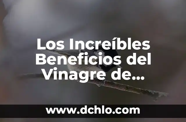 Cómo Hacer una Tarta de Manzana Fácil: Receta y Consejos 5 Los Increíbles Beneficios del Vinagre de Manzana para Tu Salud y Belleza