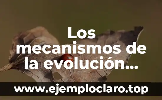 Los mecanismos de la evolución biológica