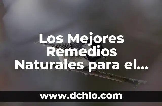Cómo Superar el Insomnio sin Pastillas: Soluciones Naturales y Efectivas 3 Los Mejores Remedios Naturales para el Insomnio: Soluciones Efectivas sin Medicamentos