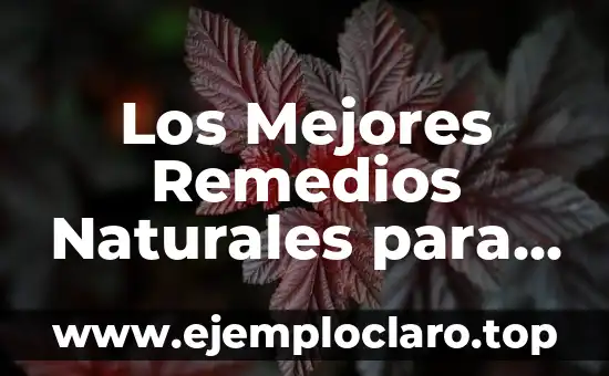 Los Mejores Remedios Naturales para el Insomnio: Soluciones Efectivas sin Medicamentos