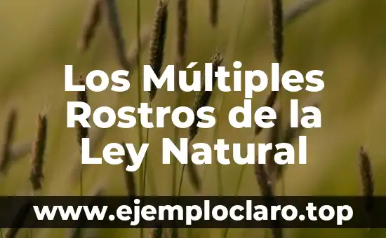 El significado de la desamortización y la Ley de Lerdo 7 Los Múltiples Rostros de la Ley Natural