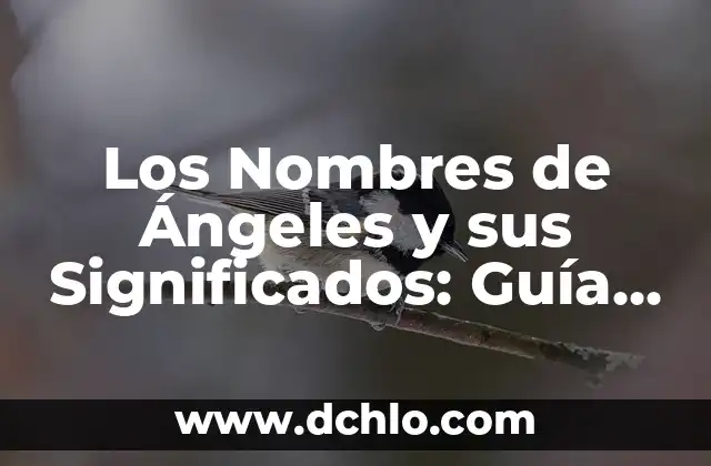 Las 50 Mejores Películas de la Historia del Cine: Una Guía Definitiva 7 Los Nombres de Ángeles y sus Significados: Guía Completa