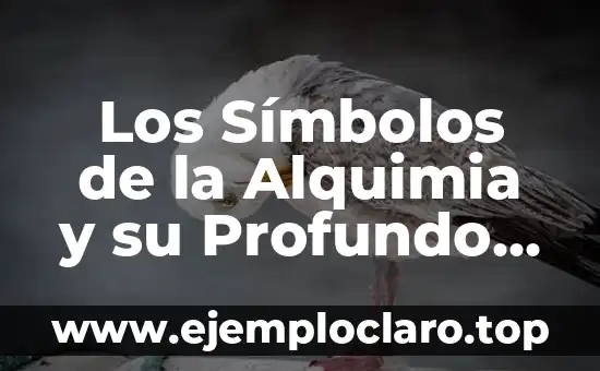 Justicia: Un Análisis Profundo de sus Características y Principios Fundamentales 4 Los Símbolos de la Alquimia y su Profundo Significado