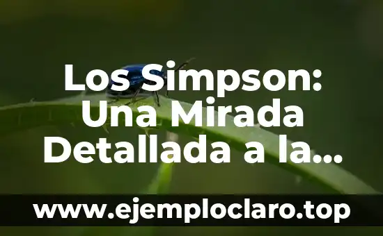El Concepto de Sucesión en el Derecho Romano: Una Mirada Histórica 5 Los Simpson: Una Mirada Detallada a la Serie de Animación más Larga y Popular de la Historia