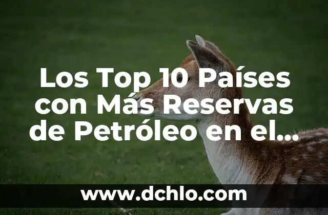 Top 5 Mejores Películas de la Historia: Una Guía Definitiva 7 Los Top 10 Países con Más Reservas de Petróleo en el Mundo