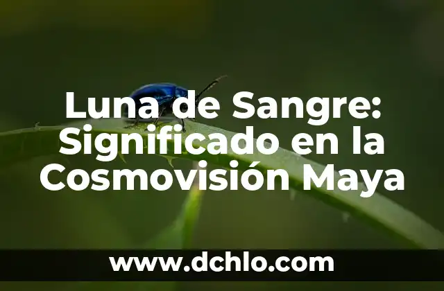 Hemoglobina: El Elemento Vital de la Sangre 3 Luna de Sangre: Significado en la Cosmovisión Maya