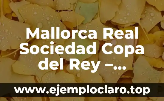 Real Sociedad Mallorca Copa del Rey - Análisis y Detalles de los Partidos 7 Mallorca Real Sociedad Copa del Rey – Análisis y Resumen del Partido