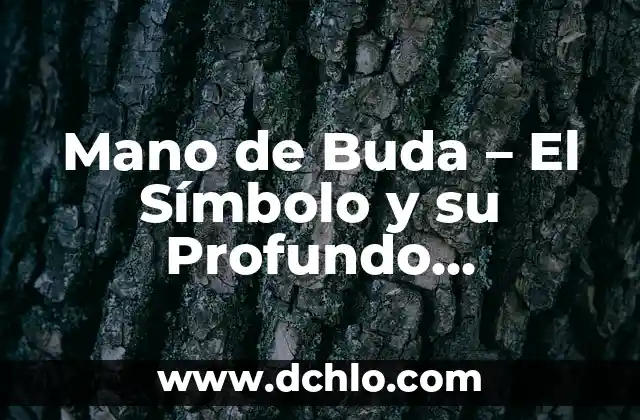 Cómo Hacer que se Me Duerma la Mano 6 Mano de Buda – El Símbolo y su Profundo Significado