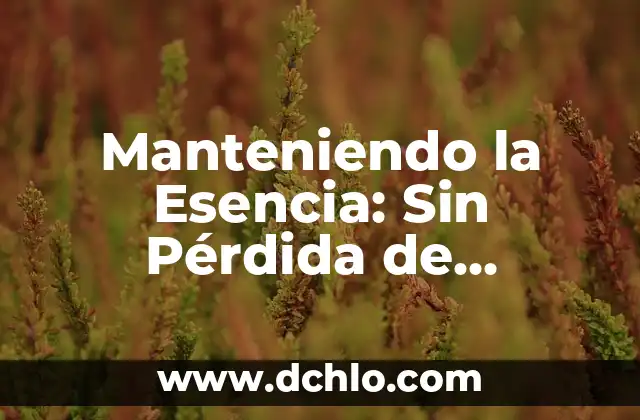 La Esencia de la Afectividad 5 Manteniendo la Esencia: Sin Pérdida de Generalidad Significado