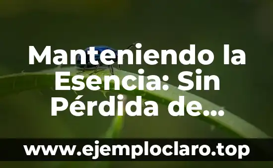 Manteniendo la Esencia: Sin Pérdida de Generalidad Significado