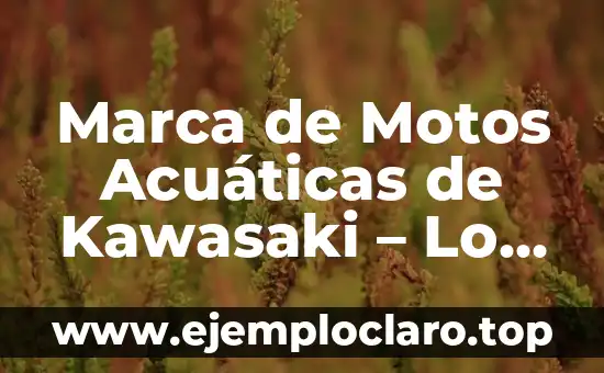 Marca de Motos Acuáticas de Kawasaki – Lo Mejor en Emocionantes Aventuras Náuticas