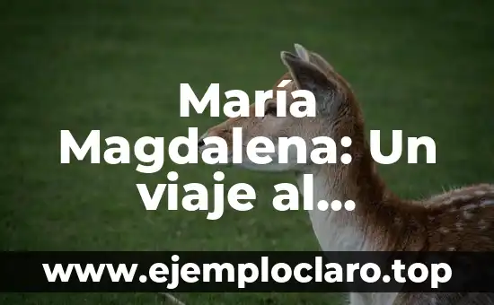 ¿Qué Es la Pereza? Descubre el Significado y Concepto 8 María Magdalena: Un viaje al significado de su figura
