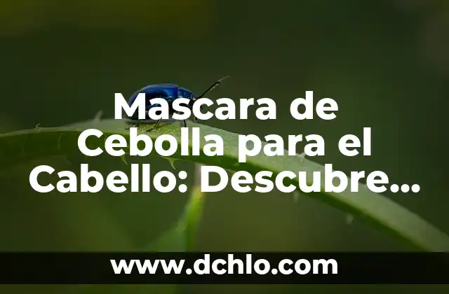 ¿Por qué se cae tanto el pelo? - Causas y soluciones para la pérdida de cabello 5 Mascara de Cebolla para el Cabello: Descubre los Beneficios para tu Pelo