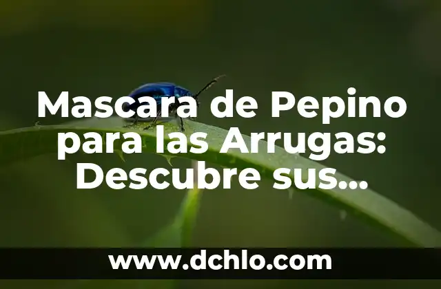Mascara para Blanquear la Cara en un Día: ¡Descubre el Secreto! 5 Mascara de Pepino para las Arrugas: Descubre sus Beneficios y Cómo Aplicarla