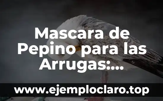 Mascara de Pepino para las Arrugas: Descubre sus Beneficios y Cómo Aplicarla