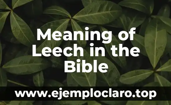 Meaning of Leech in the Bible