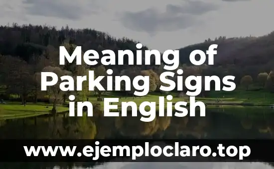 Meaning of Parking Signs in English