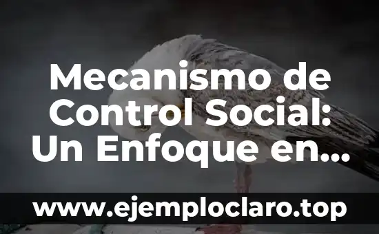 Mecanismo de Control Social: Un Enfoque en su Significado e Importancia