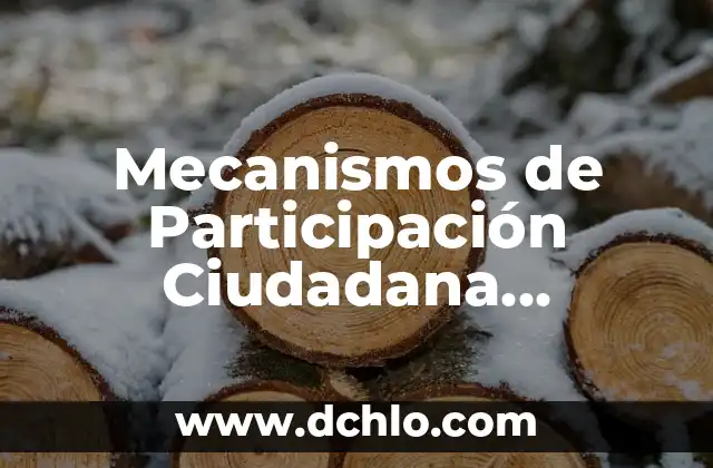 El significado de la seguridad ciudadana 7 Mecanismos de Participación Ciudadana Significado