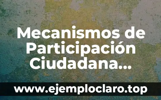 Mecanismos de Participación Ciudadana Significado