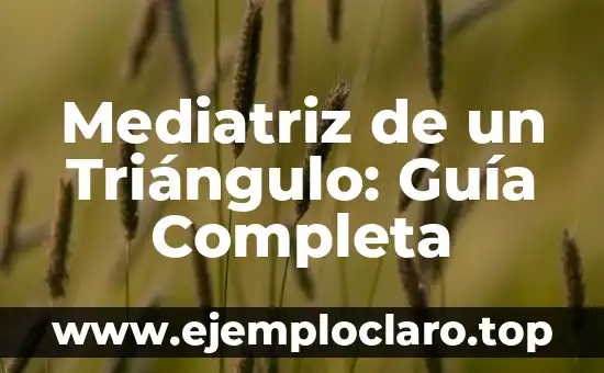 Mediatriz de un Triángulo: Guía Completa