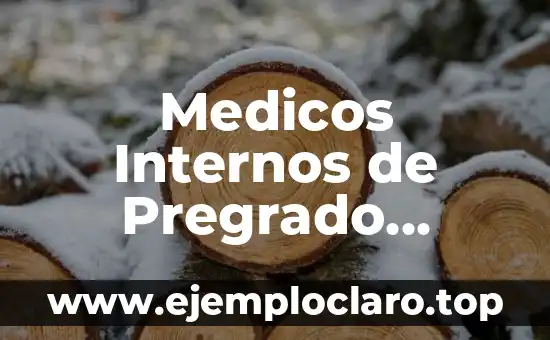 Medicos Internos de Pregrado Significado