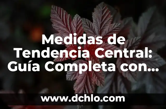 Nivel de Vida Adecuado: Significado y Conceptos Básicos 7 Medidas de Tendencia Central: Guía Completa con Ejemplos y Conceptos