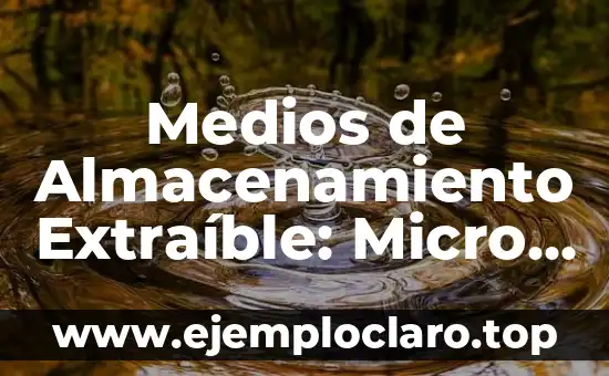 El Significado de los Medios de Alianza Digitales en la Era Moderna 4 Medios de Almacenamiento Extraíble: Micro SD
