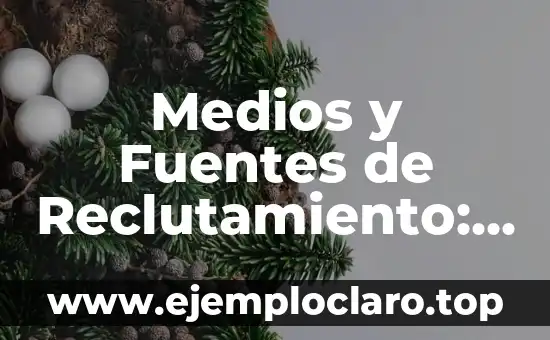 Medios y Fuentes de Reclutamiento: Significado y Estrategias