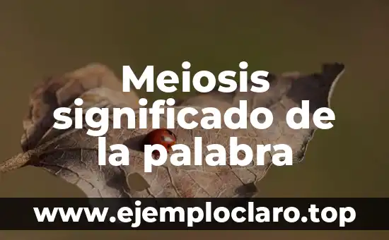 Meiosis significado de la palabra