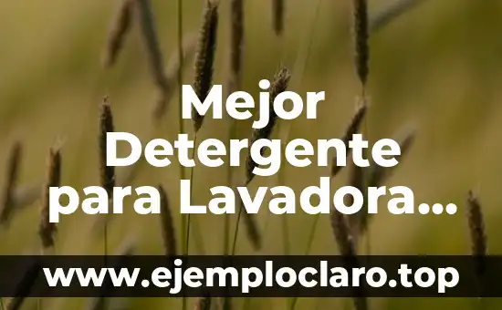 Mejor Detergente para Lavadora según la OCU (Organización de Consumidores y Usuarios)