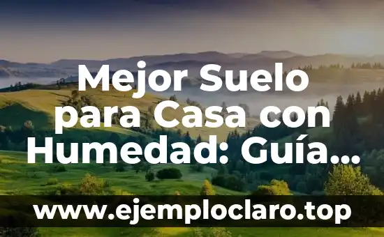 Humedad Atmosférica: Un Concepto Clave en Meteorología 4 Mejor Suelo para Casa con Humedad: Guía Completa para la Elección Correcta