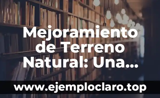 Mejoramiento de Terreno Natural: Una Guía Completa