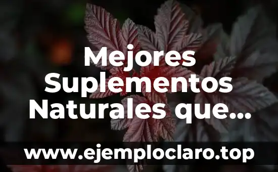Cómo se detecta la artritis reumatoide: Diagnóstico y síntomas 4 Mejores Suplementos Naturales que Tomar para la Artritis Reumatoide