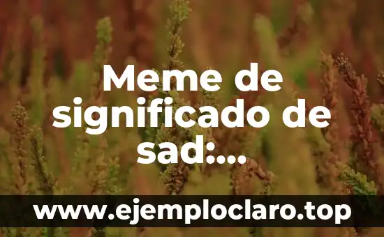 Meme de significado de sad: Explorando los memes de significado triste