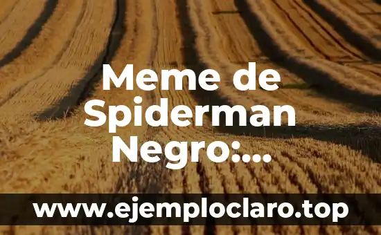 Meme de Spiderman Negro: Significado y Explicación Detallada