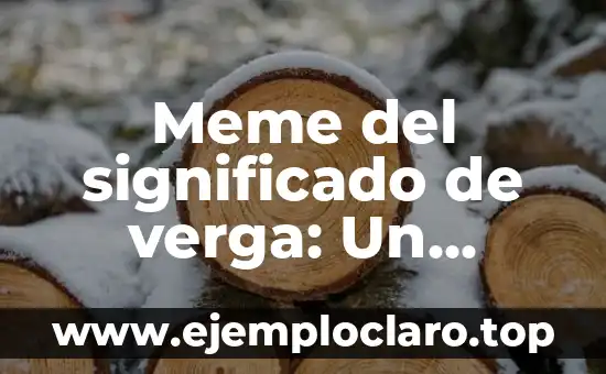 Meme del significado de verga: Un fenómeno viral en Internet