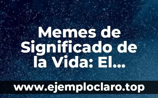 Memes de Significado de la Vida: El Humor de lo Profundo