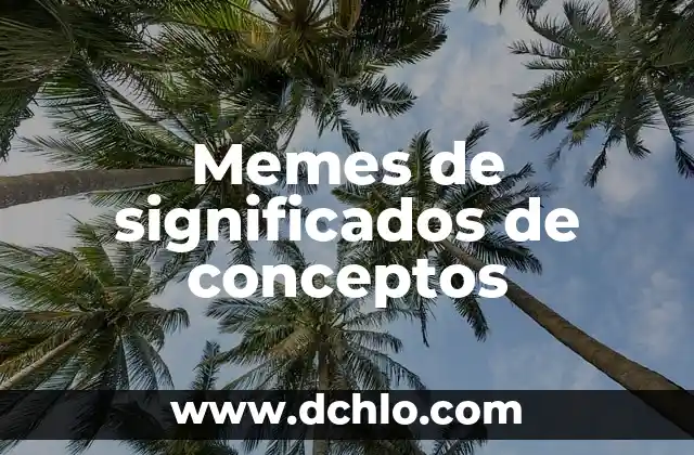 Nivel de Vida Adecuado: Significado y Conceptos Básicos 6 Memes de significados de conceptos
