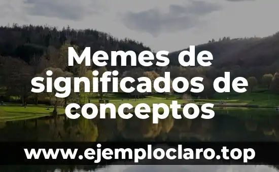 Memes de significados de conceptos