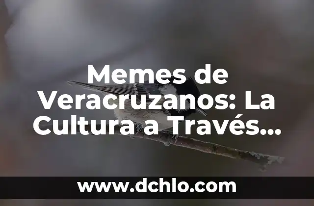 Memes y el significado de los sueños: Un viaje al subconsciente a través de la cultura digital 6 Memes de Veracruzanos: La Cultura a Través del Humor