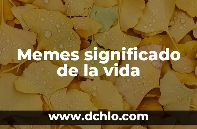 Memes significado de palabra correr 8 Memes significado de la vida