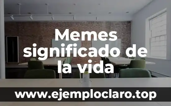 Memes significado de la vida