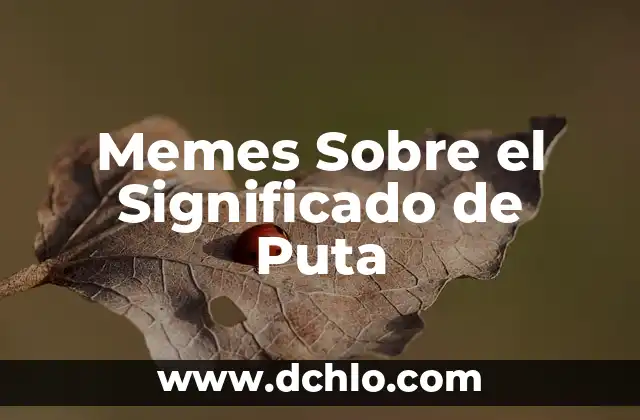 Memes significado de palabra correr 7 Memes Sobre el Significado de Puta