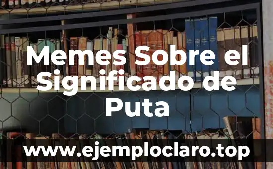 Memes Sobre el Significado de Puta