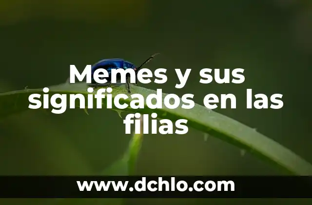 Memes significado de palabra correr 6 Memes y sus significados en las filias